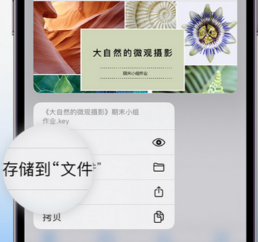 平泉apple维修中心分享iPhone文件应用中存储和找到下载文件