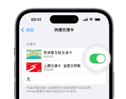 平泉apple维修点分享iPhone上更换Apple Pay快捷交通卡手绘卡面 