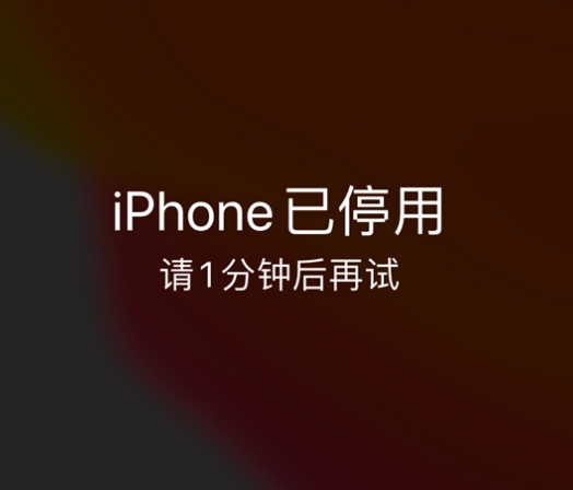 平泉苹果手机维修分享:iPhone 显示“不可用”或“已停用”怎么办？还能保留数据吗？ 