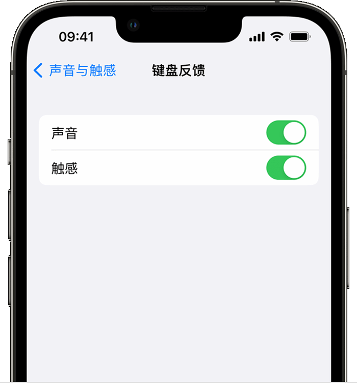 平泉苹果14维修店分享如何在 iPhone 14 机型中使用触感键盘 