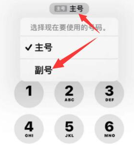 平泉苹果14维修店分享iPhone 14 Pro Max使用副卡打电话的方法 