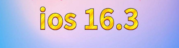 平泉苹果服务网点分享苹果iOS16.3升级反馈汇总 