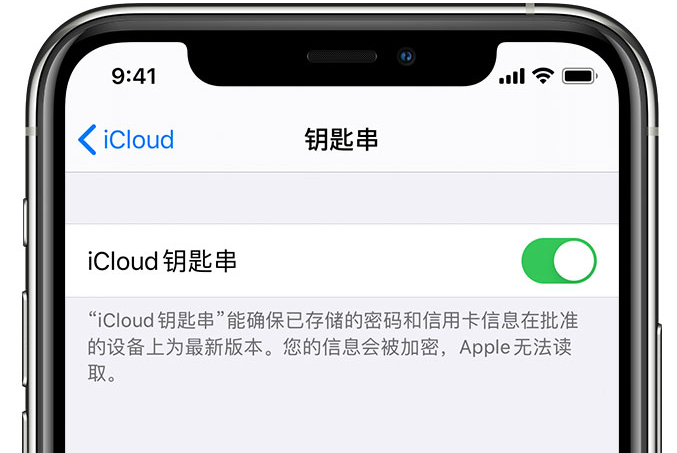 平泉苹果手机维修分享在 iPhone 上开启 iCloud 钥匙串之后会储存哪些信息 