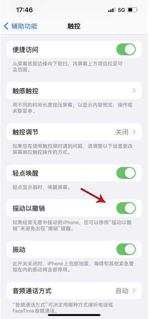 平泉苹果手机维修分享iPhone手机如何设置摇一摇删除文字 